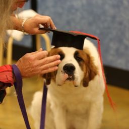 photograph by PeterW